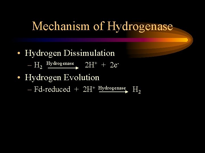 Mechanism of Hydrogenase • Hydrogen Dissimulation – H 2 Hydrogenase 2 H+ + 2