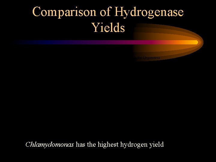 Comparison of Hydrogenase Yields Chlamydomonas has the highest hydrogen yield 