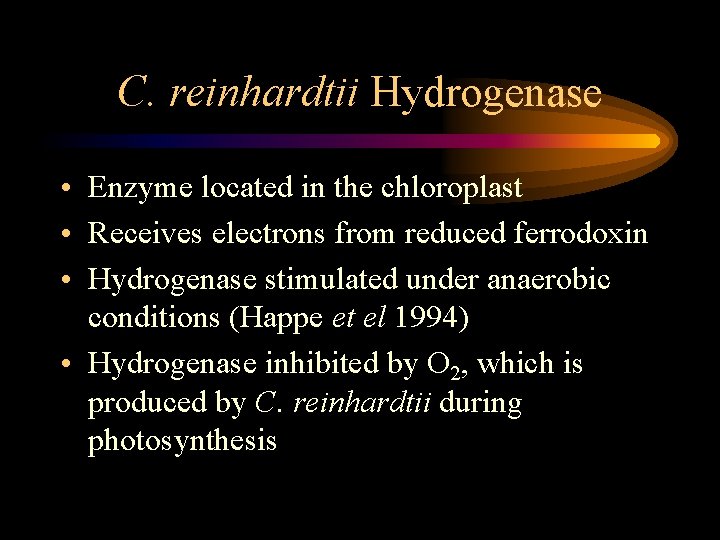C. reinhardtii Hydrogenase • Enzyme located in the chloroplast • Receives electrons from reduced