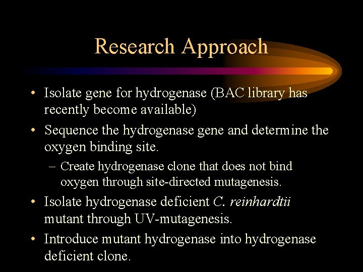 Research Approach • Isolate gene for hydrogenase (BAC library has recently become available) •