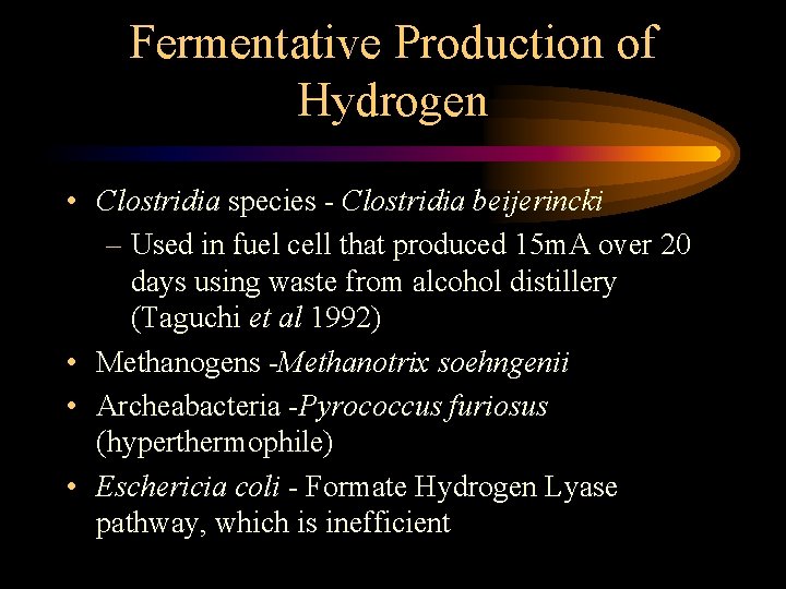 Fermentative Production of Hydrogen • Clostridia species - Clostridia beijerincki – Used in fuel
