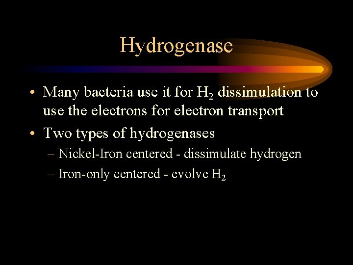 Hydrogenase • Many bacteria use it for H 2 dissimulation to use the electrons