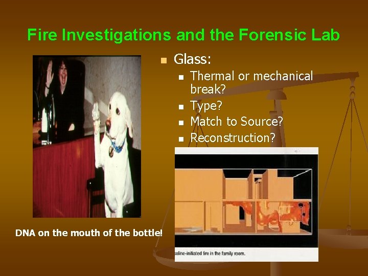 Fire Investigations and the Forensic Lab n Glass: n n DNA on the mouth