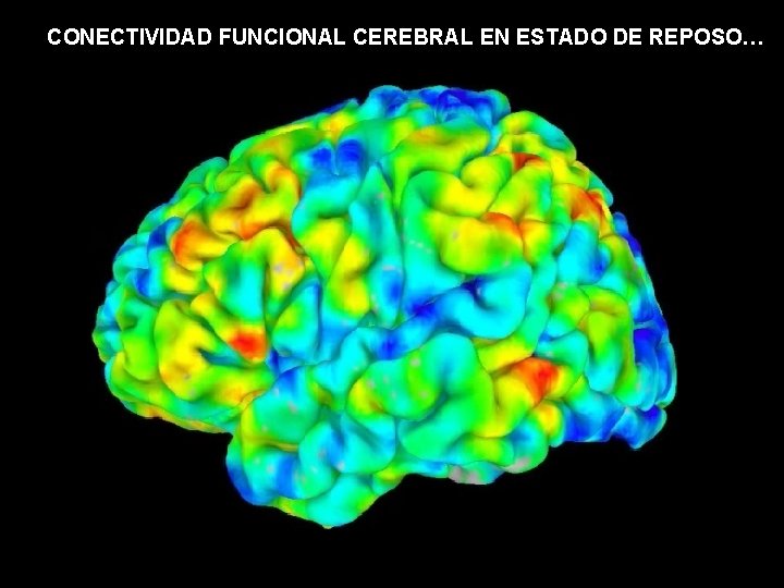 CONECTIVIDAD FUNCIONAL CEREBRAL EN ESTADO DE REPOSO… 