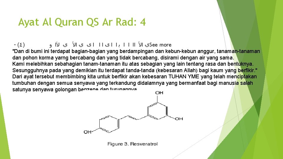 Ayat Al Quran QS Ar Rad: 4 - (٤) ﻭ ﻵﺍ ﻱ ﺍﻷ ﻱ