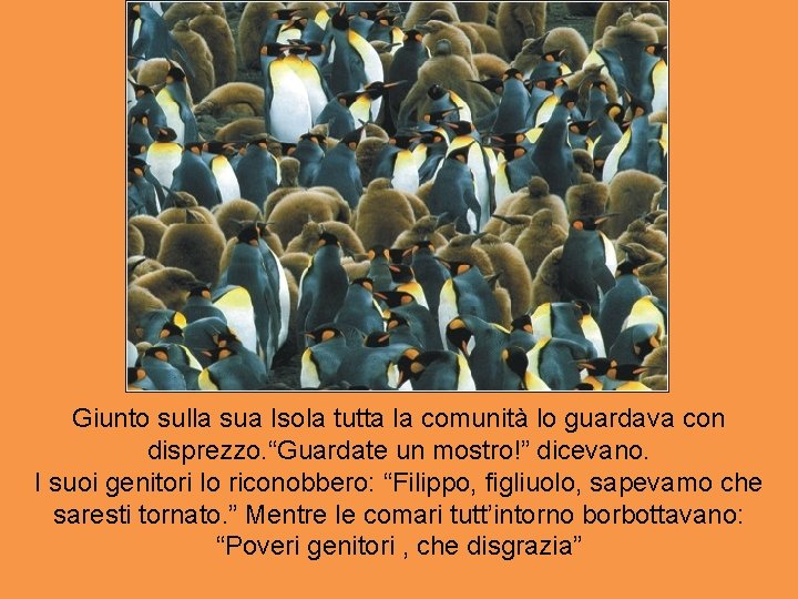 Giunto sulla sua Isola tutta la comunità lo guardava con disprezzo. “Guardate un mostro!”