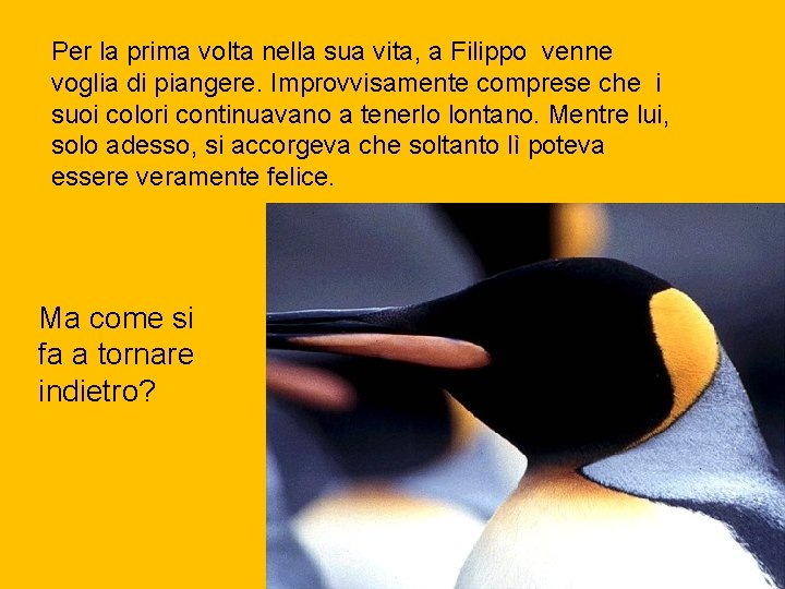 Per la prima volta nella sua vita, a Filippo venne voglia di piangere. Improvvisamente