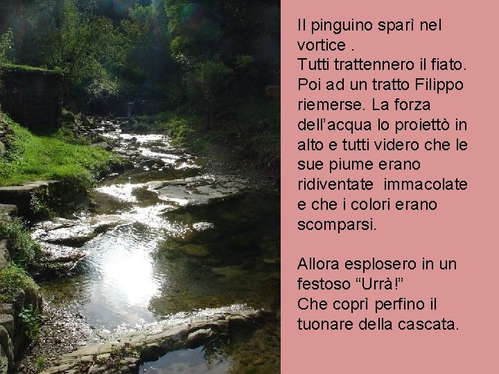 Il pinguino sparì nel vortice. Tutti trattennero il fiato. Poi ad un tratto Filippo