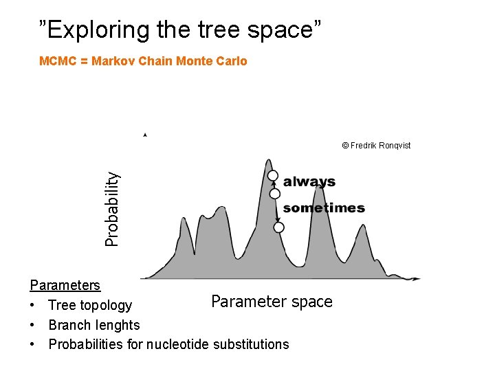 “”Exploring the tree space” MCMC = Markov Chain Monte Carlo Probability © Fredrik Ronqvist