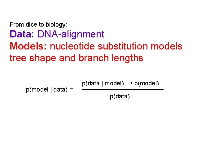 From dice to biology: Data: DNA-alignment Models: nucleotide substitution models tree shape and branch