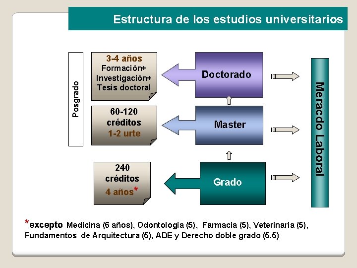 Estructura de los estudios universitarios Formación+ Investigación+ Tesis doctoral 60 -120 créditos 1 -2