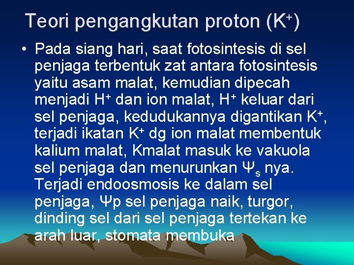 Teori pengangkutan proton (K+) • Pada siang hari, saat fotosintesis di sel penjaga terbentuk