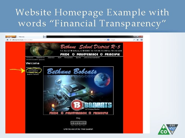 Website Homepage Example with words “Financial Transparency” 19 