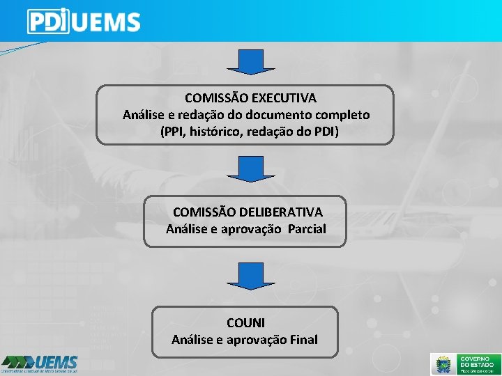  COMISSÃO EXECUTIVA Análise e redação do documento completo (PPI, histórico, redação do PDI)