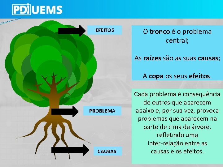EFEITOS O tronco é o problema central; As raízes são as suas causas; A