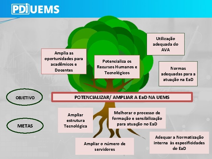 Amplia as oportunidades para acadêmicos e Docentes OBJETIVO METAS Utilização adequada do AVA Potencializa