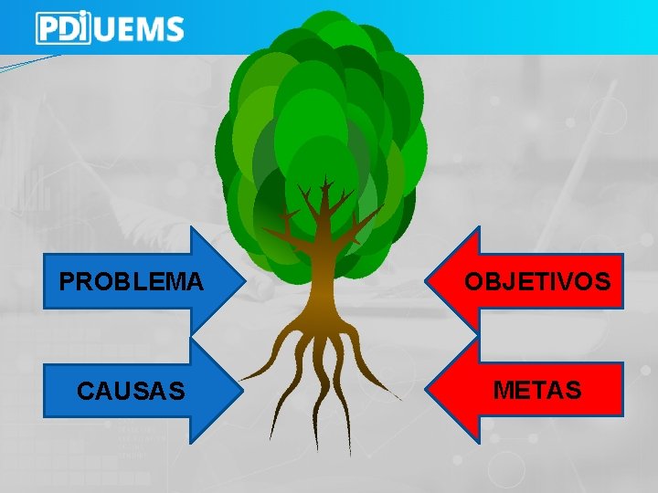 PROBLEMA OBJETIVOS CAUSAS METAS 