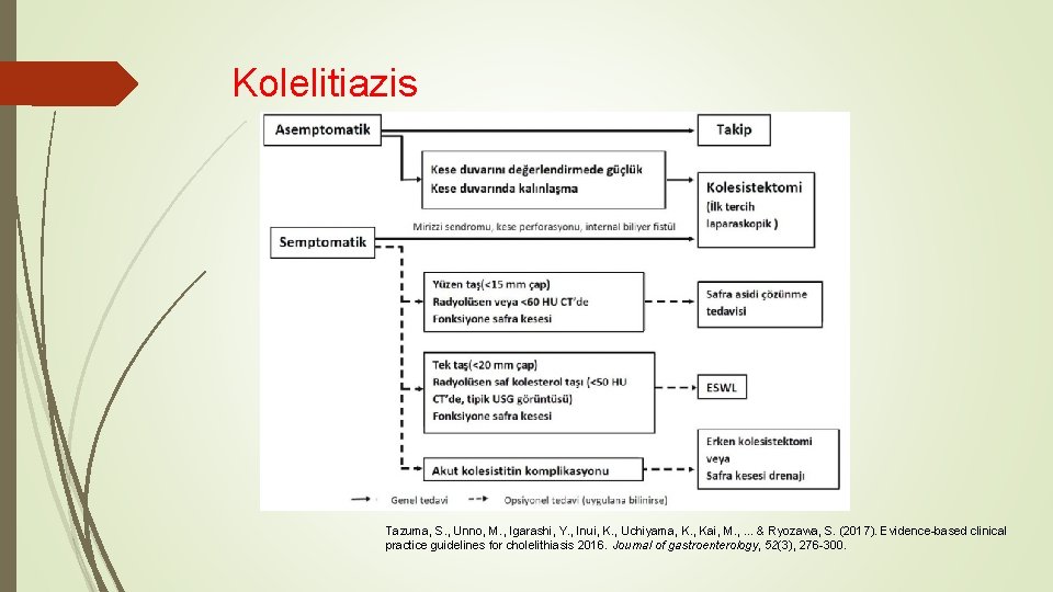 Kolelitiazis Tazuma, S. , Unno, M. , Igarashi, Y. , Inui, K. , Uchiyama,