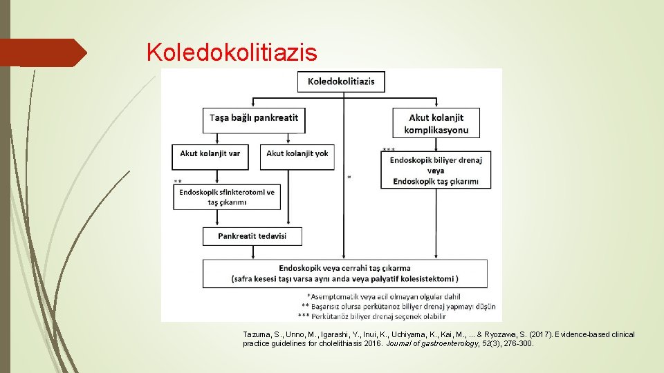 Koledokolitiazis Tazuma, S. , Unno, M. , Igarashi, Y. , Inui, K. , Uchiyama,