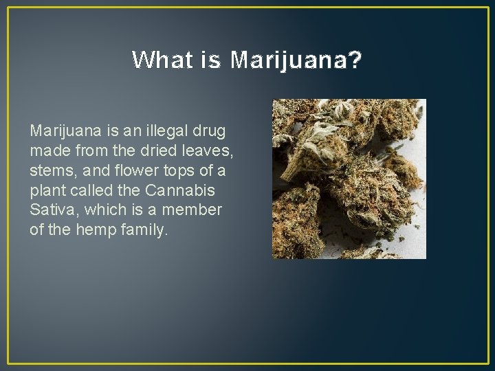 What is Marijuana? Marijuana is an illegal drug made from the dried leaves, stems,