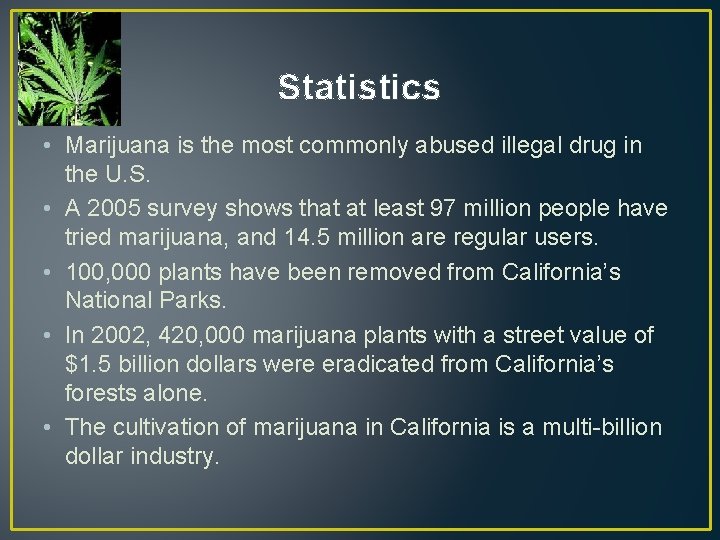 Statistics • Marijuana is the most commonly abused illegal drug in the U. S.