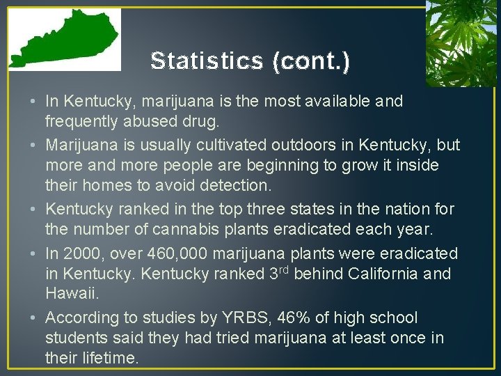 Statistics (cont. ) • In Kentucky, marijuana is the most available and frequently abused