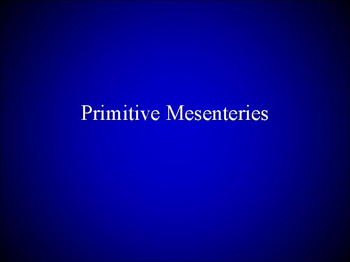 Primitive Mesenteries 