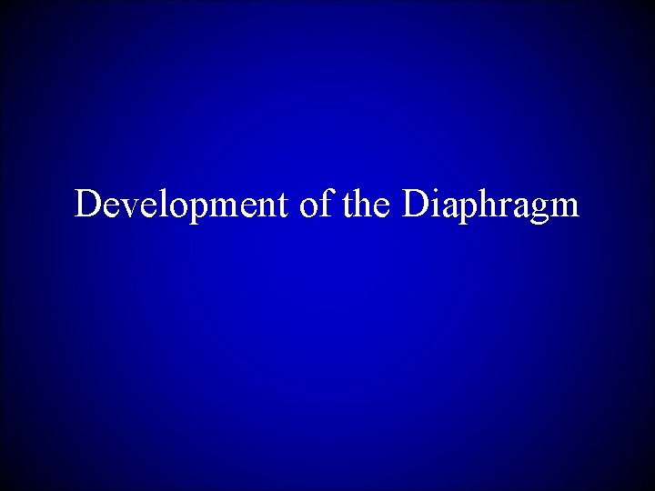 Development of the Diaphragm 