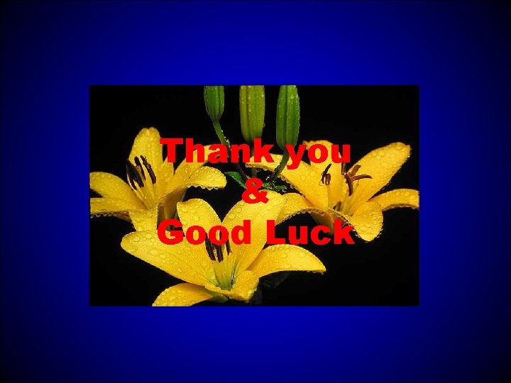 Thank you & Good Luck 