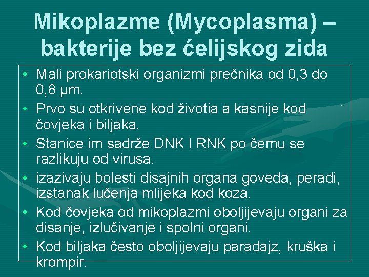 Mikoplazme (Mycoplasma) – bakterije bez ćelijskog zida • Mali prokariotski organizmi prečnika od 0,