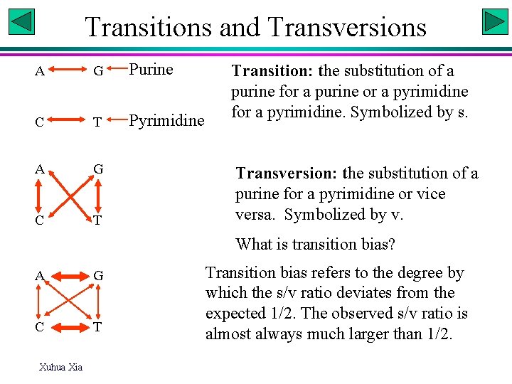 Transitions and Transversions A G Purine C T Pyrimidine A G C T Transition: