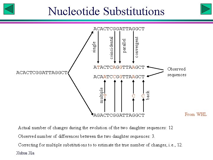 Nucleotide Substitutions convergent ATACTCAGGTTAAGCT Observed sequences T C C back ACAATCCGGTTAAGCT multiple ACACTCGGATTAGGCT parallel