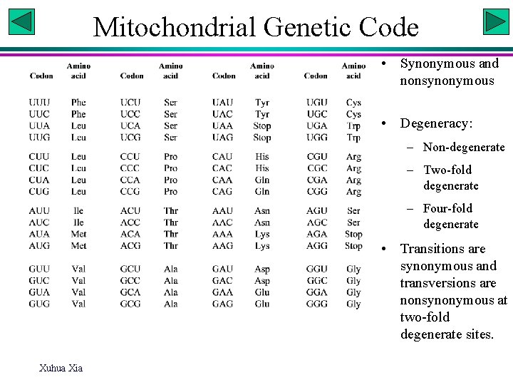 Mitochondrial Genetic Code • Synonymous and nonsynonymous • Degeneracy: – Non-degenerate – Two-fold degenerate