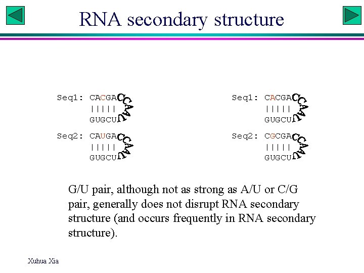 RNA secondary structure Seq 1: CACGA ||||| GUGCU Seq 2: CAUGA ||||| GUGCU Seq