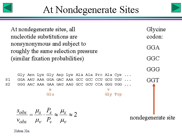 At Nondegenerate Sites At nondegenerate sites, all nucleotide substitutions are nonsynonymous and subject to