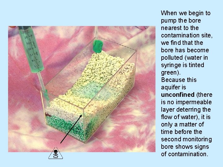 When we begin to pump the bore nearest to the contamination site, we find When we begin to pump the bore nearest to the contamination site, we find