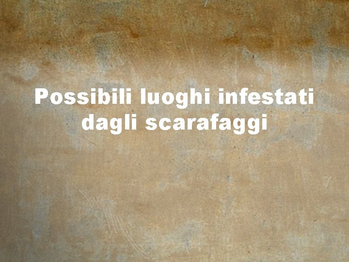 Possibili luoghi infestati dagli scarafaggi 