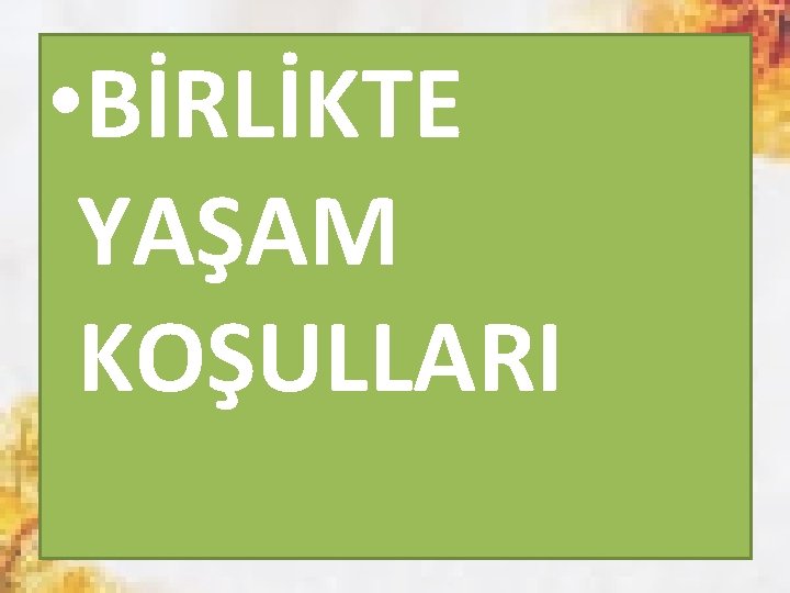  • BİRLİKTE YAŞAM KOŞULLARI 