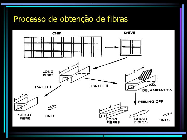 Processo de obtenção de fibras 