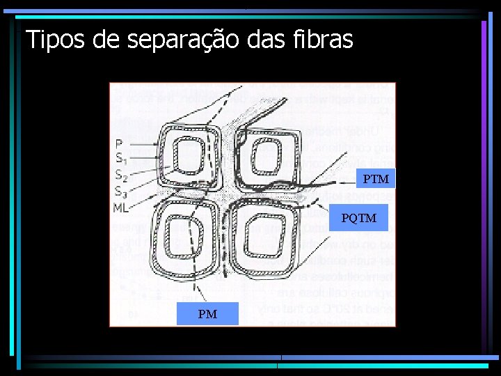 Tipos de separação das fibras PTM PQTM PM 