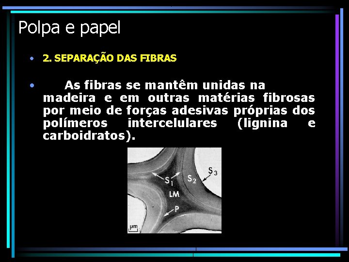 Polpa e papel • 2. SEPARAÇÃO DAS FIBRAS • As fibras se mantêm unidas