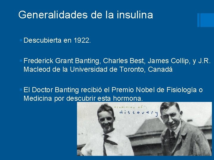 Generalidades de la insulina § Descubierta en 1922. § Frederick Grant Banting, Charles Best,