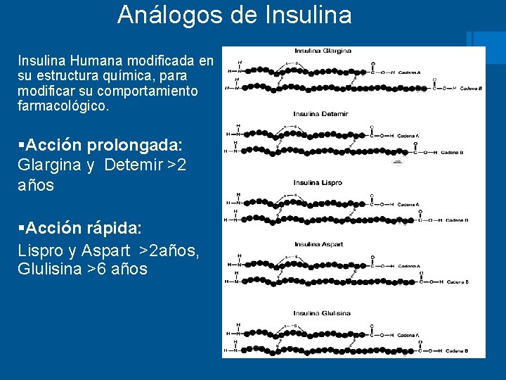  Análogos de Insulina Humana modificada en su estructura química, para modificar su comportamiento