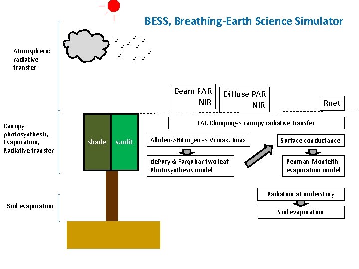 BESS, Breathing-Earth Science Simulator Atmospheric radiative transfer Beam PAR NIR Canopy photosynthesis, Evaporation, Radiative