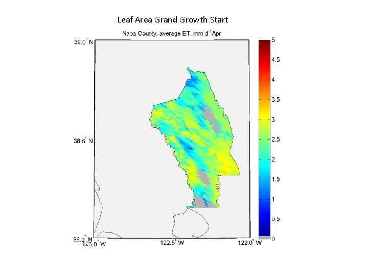 Leaf Area Grand Growth Start 