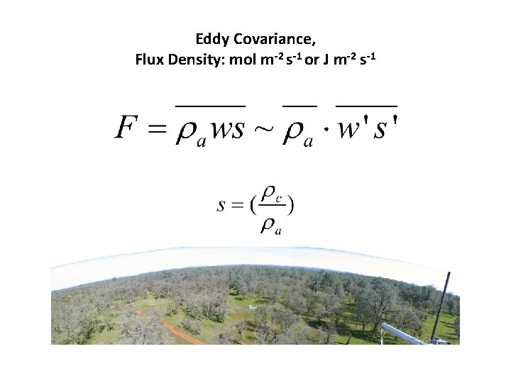 Eddy Covariance, Flux Density: mol m-2 s-1 or J m-2 s-1 