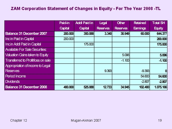 ZAM Corporation Statement of Changes in Equity - For The Year 2008 -TL Chapter
