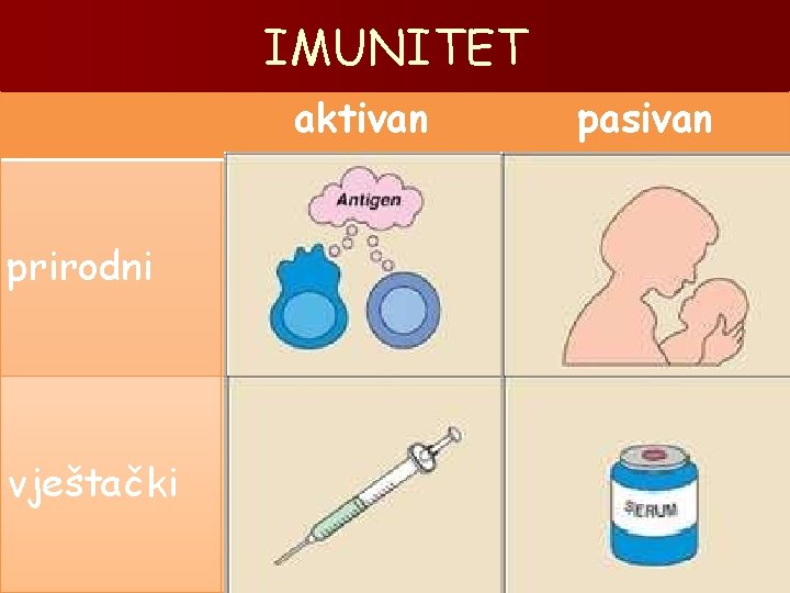 IMUNITET aktivan prirodni vještački pasivan Stvaranje antitela nakon preležane bolesti (boginje, zauške). Organizam je
