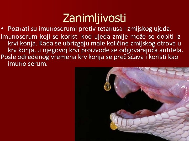 Zanimljivosti • Poznati su imunoserumi protiv tetanusa i zmijskog ujeda. Imunoserum koji se koristi