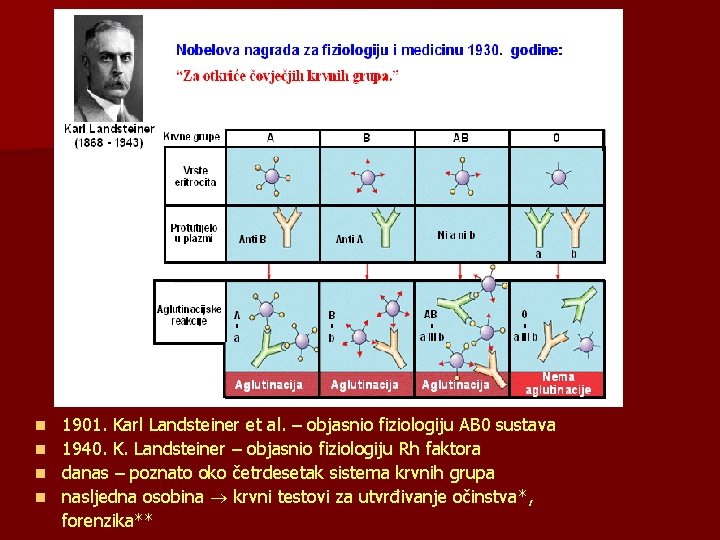 1901. Karl Landsteiner et al. – objasnio fiziologiju AB 0 sustava n 1940. K.